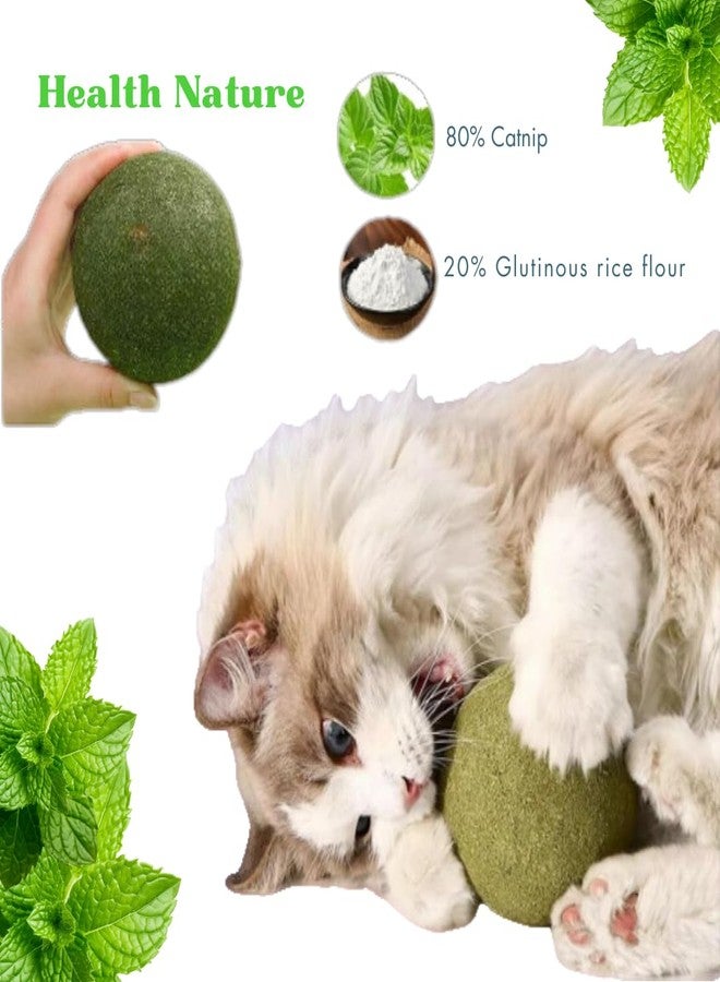 PET FUN مجموعة ألعاب كرات النعناع البري من بيت فن | مكافآت طبيعية من النعناع البري لتنظيف الأسنان والمضغ واللعق | نفس منعش ومرح للقطط والقطط الصغيرة - Image 2
